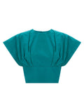 Pinko Asparago Top