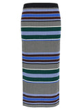 Pinko Terra Skirt