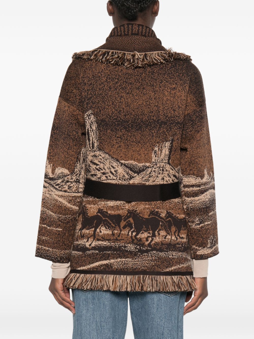 ALANUI Sweaters BROWN