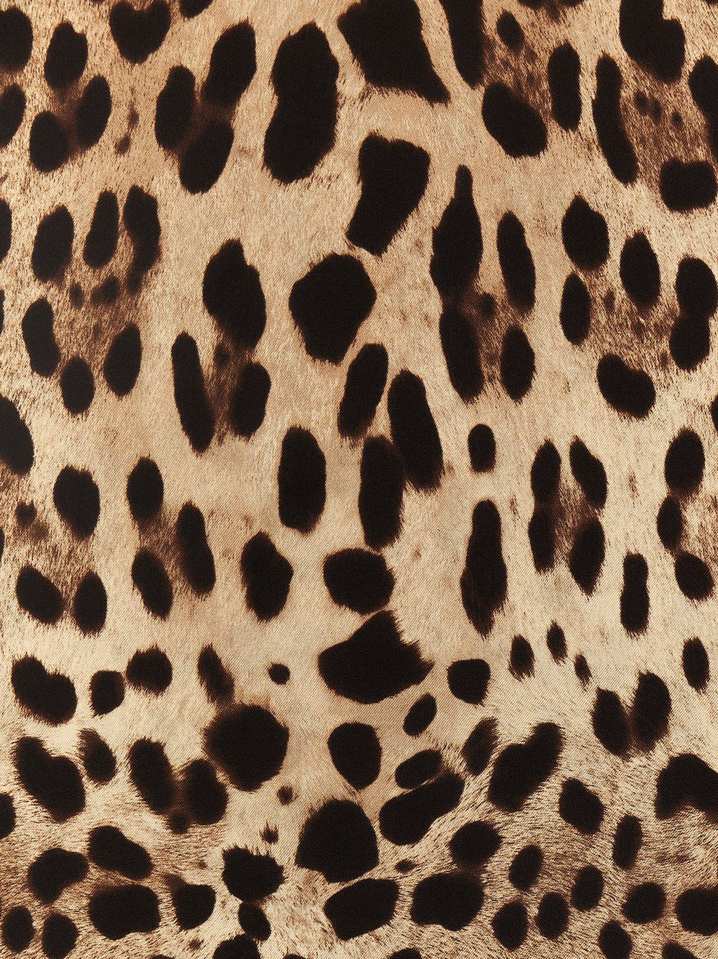 Dolce & Gabbana Leopard Scarf
